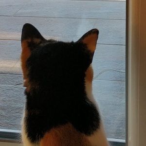 Meet your Posher, Kate